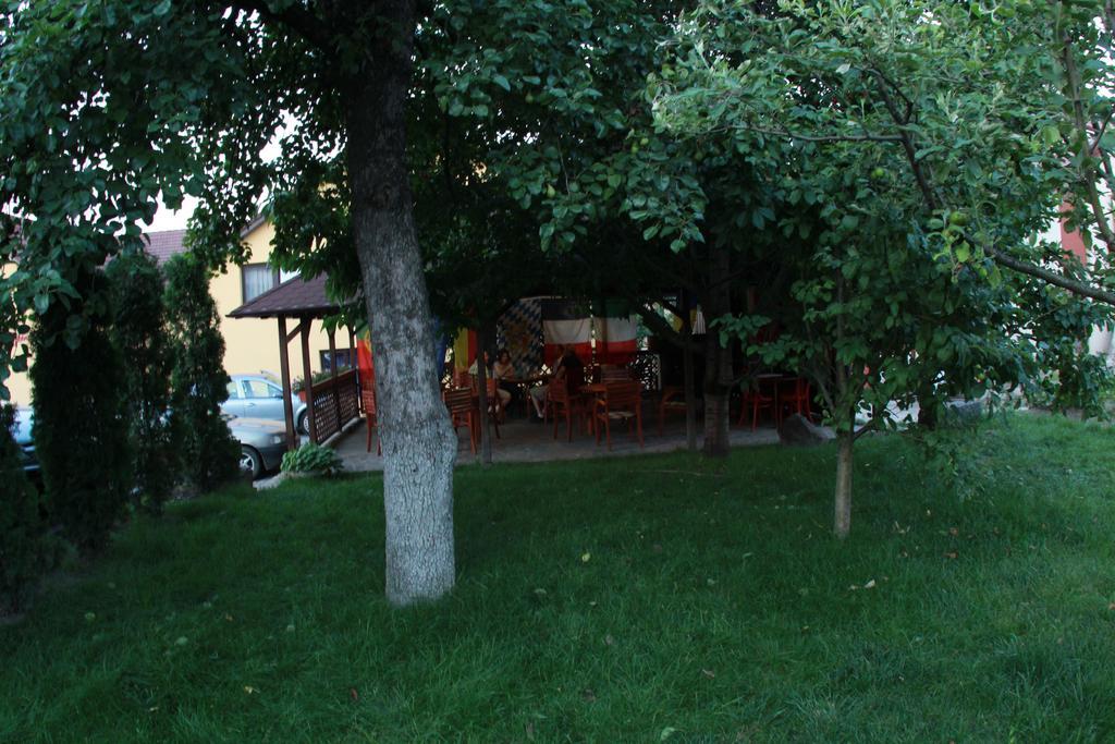 Pensiunea Blanca Reghin Exterior photo